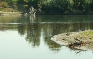 Как сделать заказ на кракен