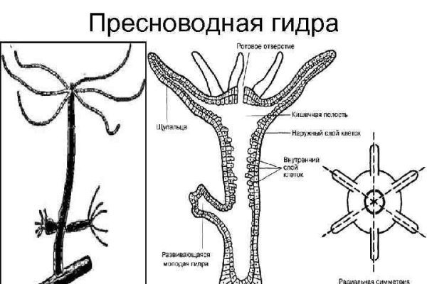 Кракен сайт kr2web