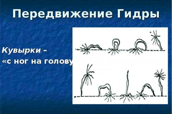 Кракен как зайти через тор браузер